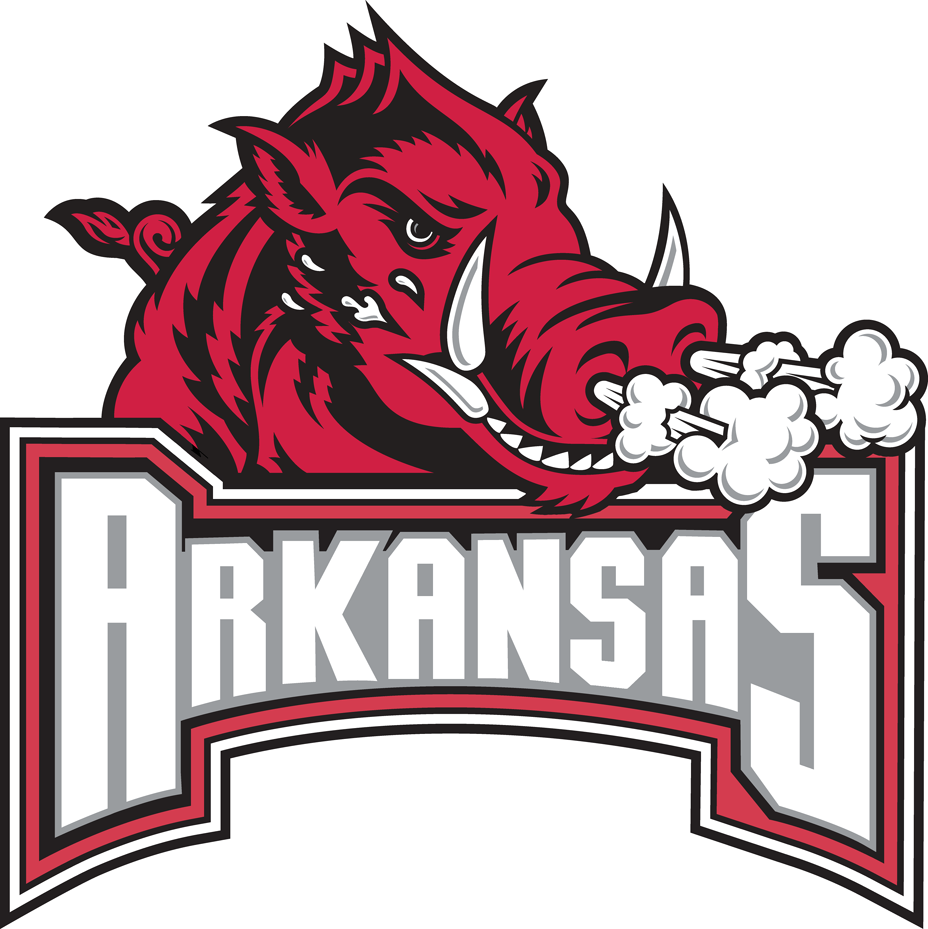 Arkansas Razorbacks 2001-2008 Secondary Logo iron on transfers for fabric